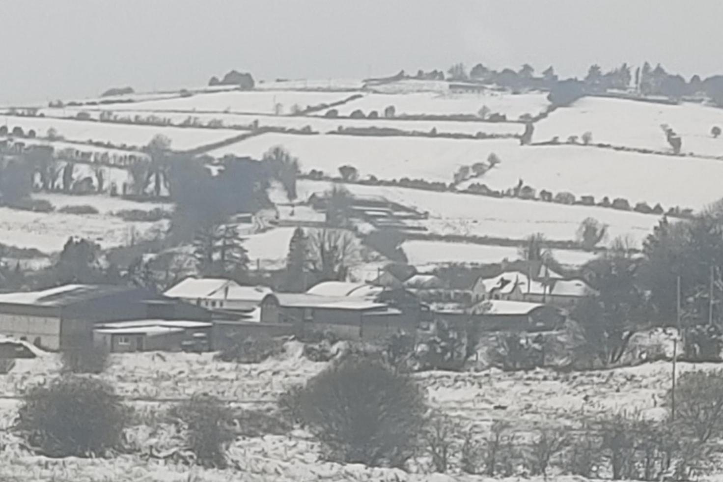 Cozy Cottage Retreat In Listowel Pet Friend エクステリア 写真
